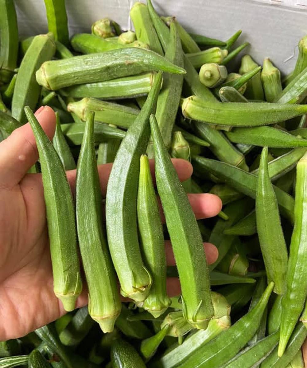 Is Okra Good for People With Diabetes? Benefits, Risks, and How to Eat It Right