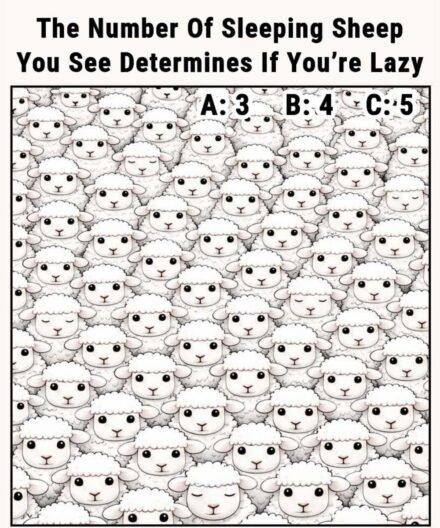 The Number Of Sleeping Sheep You See Determines If You’re Lazy