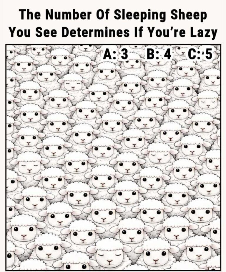 The Number Of Sleeping Sheep You See Determines If You’re Lazy