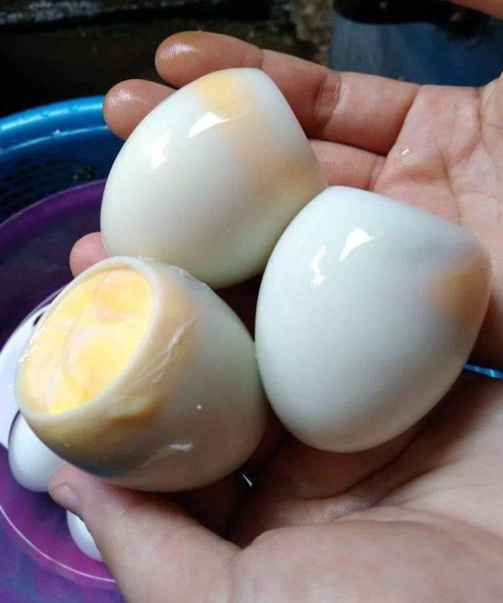 What Happens If You Accidentally Eat a Spoiled Egg?