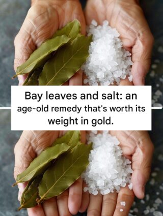 Bay leaves and salt: an age-old remedy that’s worth its weight in gold