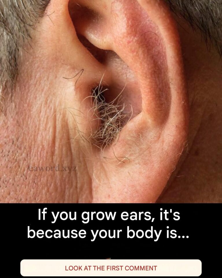 Why do hairs appear in the ears and what can it say about your health?