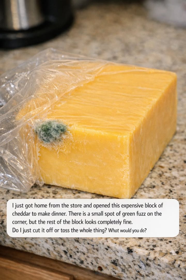 I just got home from the store and opened this expensive block of cheddar to make dinner. There is a small spot of green fuzz on the corner, but the rest of the block looks completely fine. Do I just