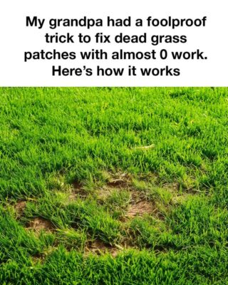 No way… I had zero idea!