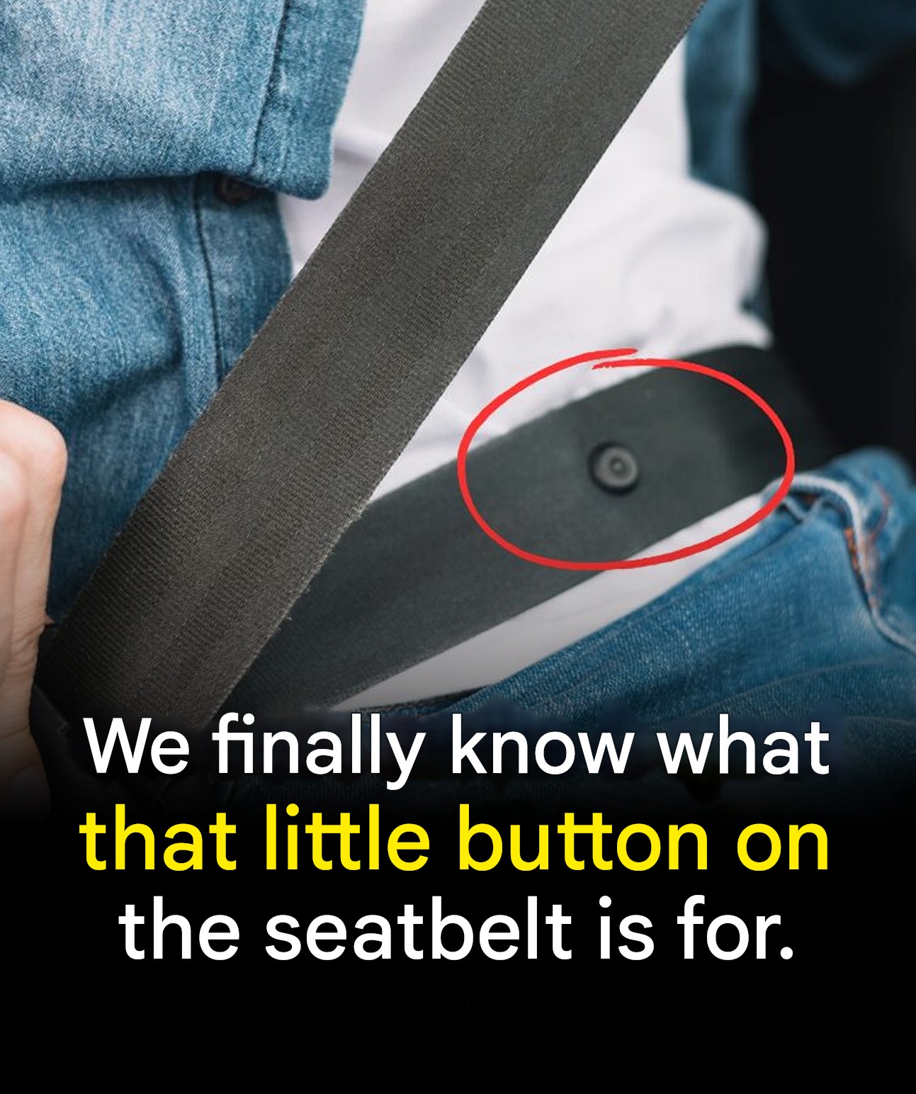 This little button on the belt is not there by chance: but few people know why