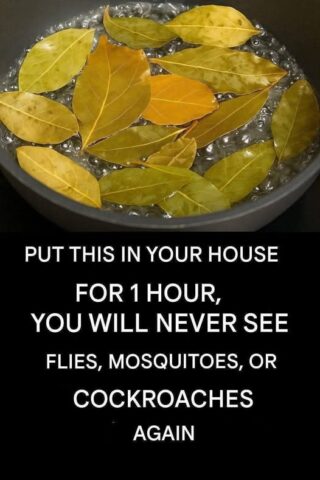 Banish Flies, Mosquitoes, and Cockroaches with These Simple Natural Remedies