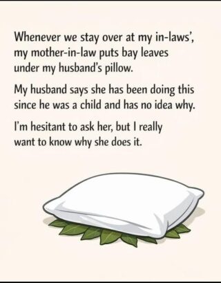 Why People Put Bay Leaves Under Their Pillow