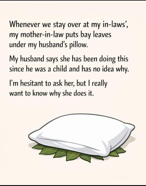 Why People Put Bay Leaves Under Their Pillow