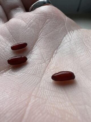 I just found this thing on my bed, it scared me a bit, what is it?