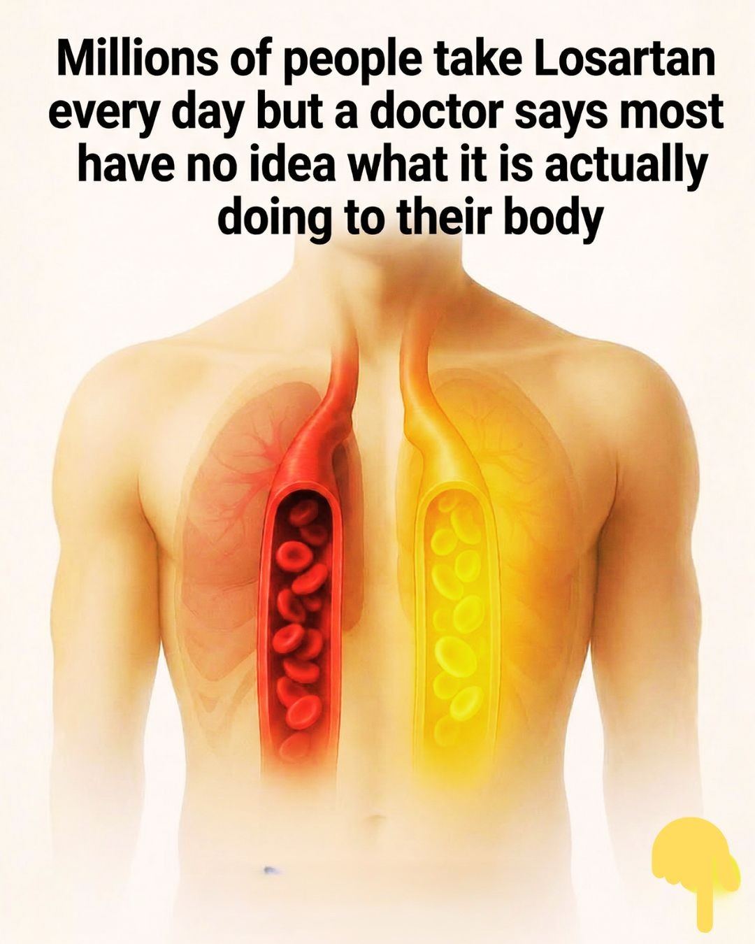 What really happens to your body when you take LOSARTAN