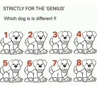 Most People Fail: Can You Spot Which Dog Is Different?