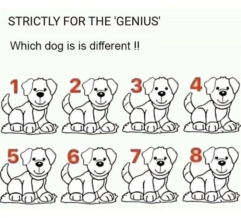 Most People Fail: Can You Spot Which Dog Is Different?