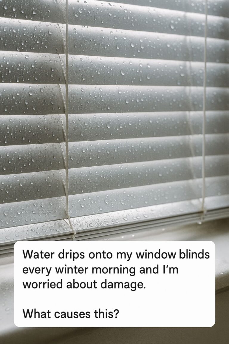 Water drips onto my window blinds every winter morning and I’m worried about damage. What causes this?