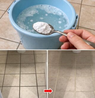 Lighten floor grout: the one-swipe trick that makes them look like new again