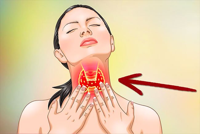5 Vitamins for Hypothyroidism and Hashimoto’s Disease (Hypothyroidism)