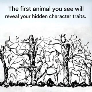 Which animal catches your eye first? The answer will reveal surprising secrets about your personality!