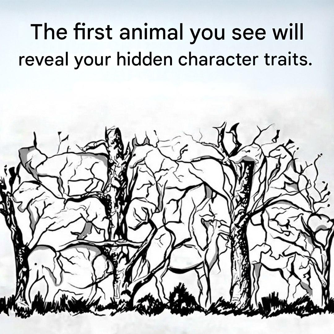 Which animal catches your eye first? The answer will reveal surprising secrets about your personality!