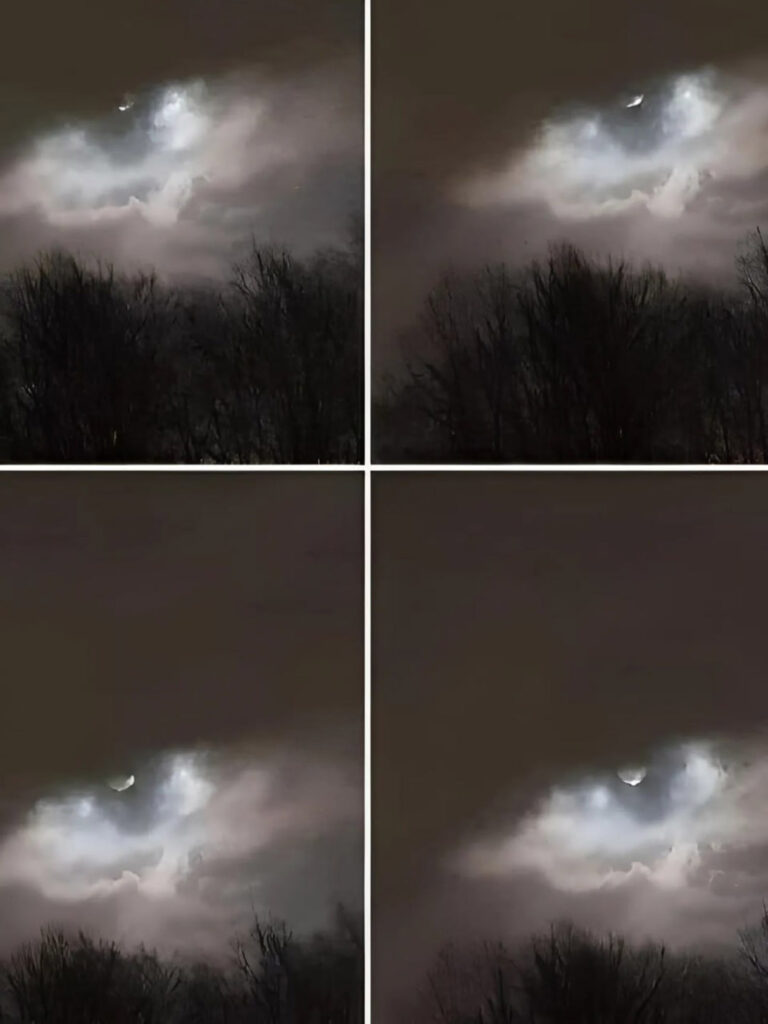 My brother took this photo only 21 km from our house: do you have any idea what it is?