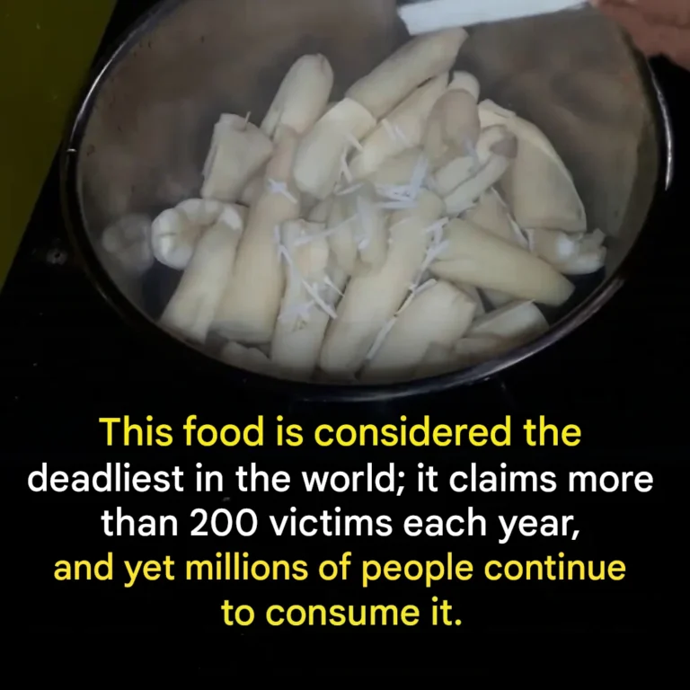 “The world’s deadliest food” kills more than 200 people a year, but millions continue to consume it.