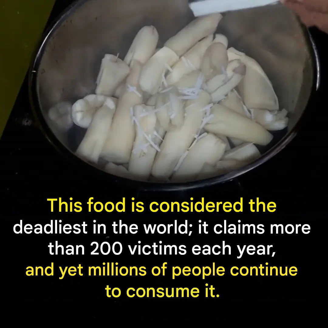 “The world’s deadliest food” kills more than 200 people a year, but millions continue to consume it.