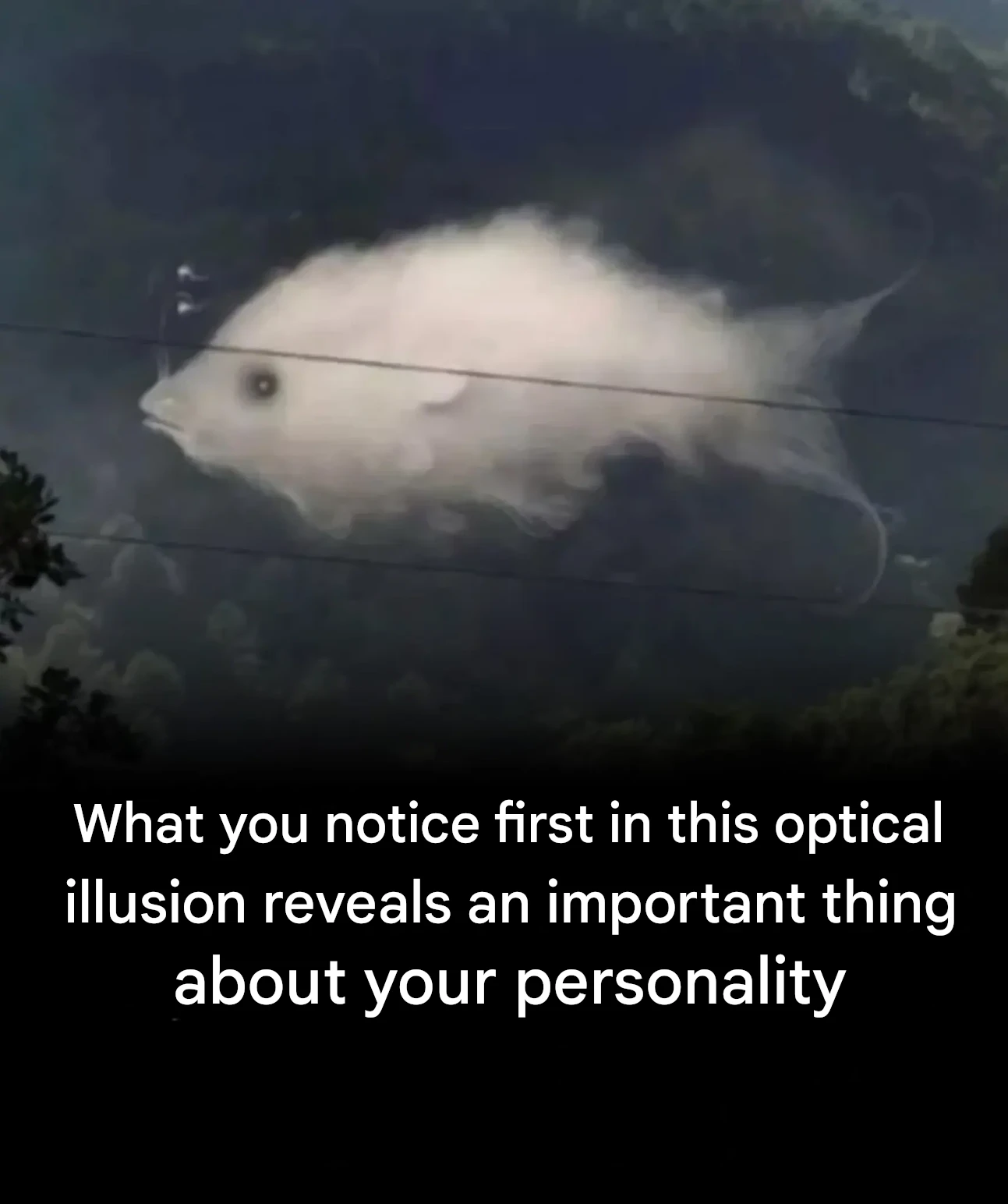 This visual test reveals traits of your personality based on what you see first.