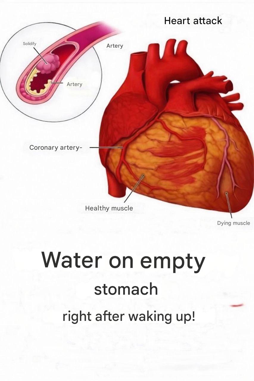 Does drinking water in the morning and after waking up have a beneficial effect on your overall well-being?