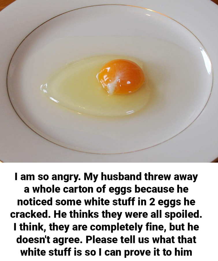 What Is That White String in an Egg