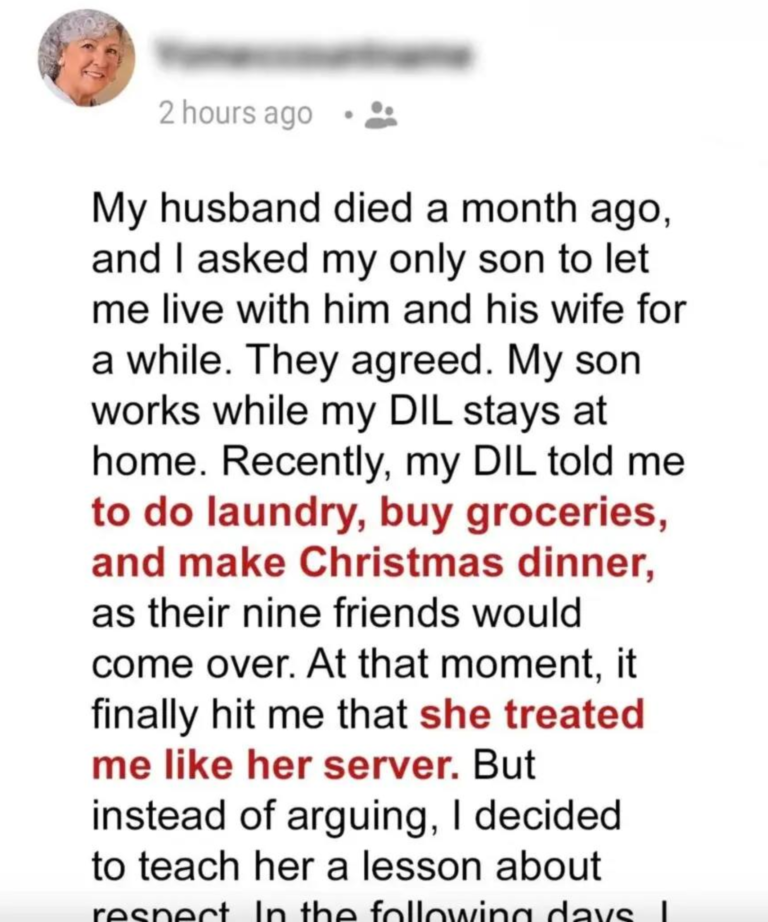 My Daughter-in-Law Treats Me Like Her Personal Maid — So This Christmas, I Decided to Teach Her a Lesson She’ll Never Forget.